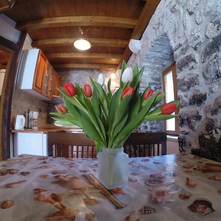 Dalmatian Villas Спліт Екстер'єр фото
